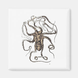 Vintage Brown Octopus, Nautical Nature Art Sketch Magnet