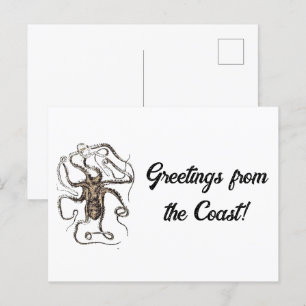 Vintage Brown Octopus, Nautical Nature Art Sketch Postcard