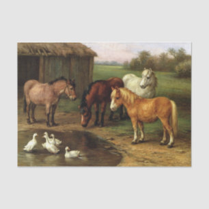 Vintage Brown White Horse And Ducks Farm Animals Tissue Paper