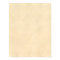 Vintage Buckskin Tan Leather Parchment Template