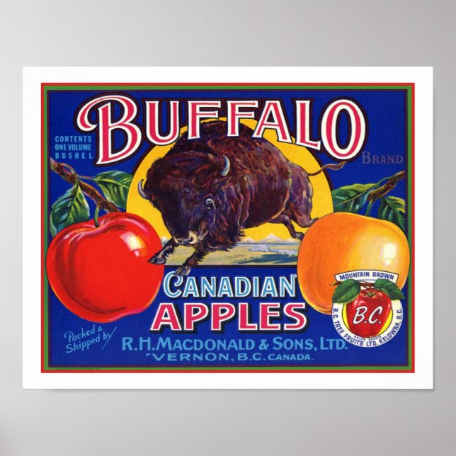 Vintage Buffalo Canadian Apples Poster (Front)