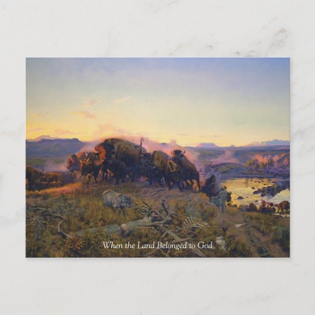 Vintage Buffalo Run in Mountains Postcard (Front)