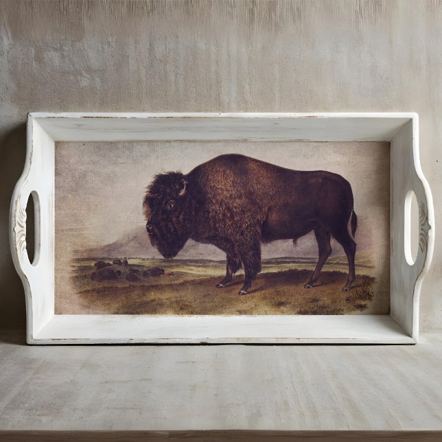 Vintage Buffalo Tissue or Decoupage Paper (This is a mockup, the design may appear larger/smaller on your decoupage piece.)