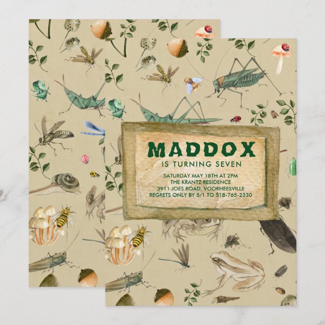 Vintage Bug Themed Birthday Party Invitation (Front/Back)
