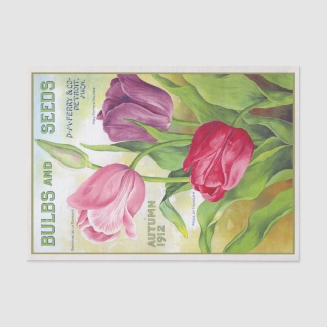 Vintage Bulbs and Seeds 1912 Tulips Tissue Paper (Front)