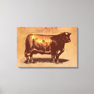Vintage bull canvas print