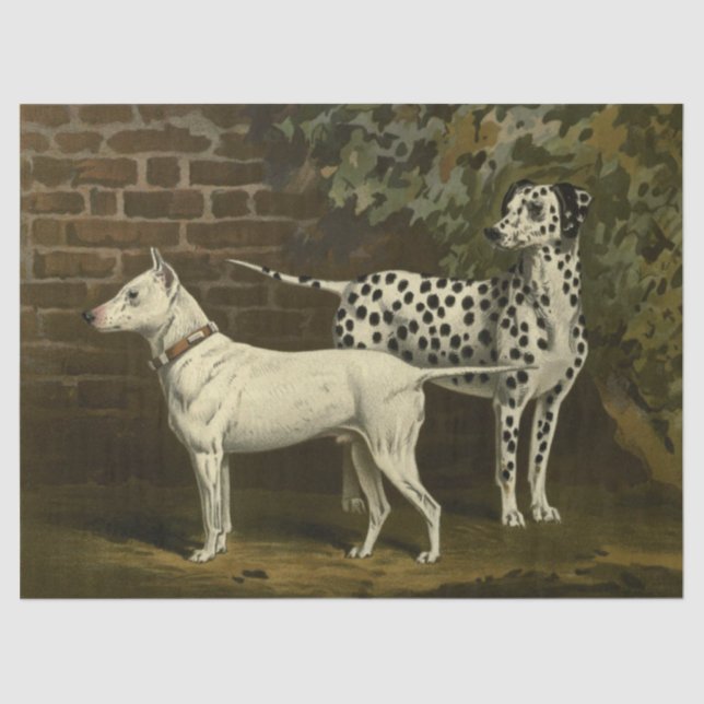 Vintage Bull Terrier and Dalmatian Tissue Paper (Front)