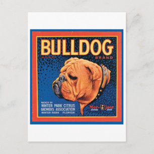 Vintage Bulldog Brand Crate Label Postcard
