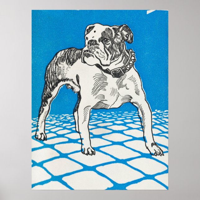 Vintage Bulldog Drawing Poster (Front)