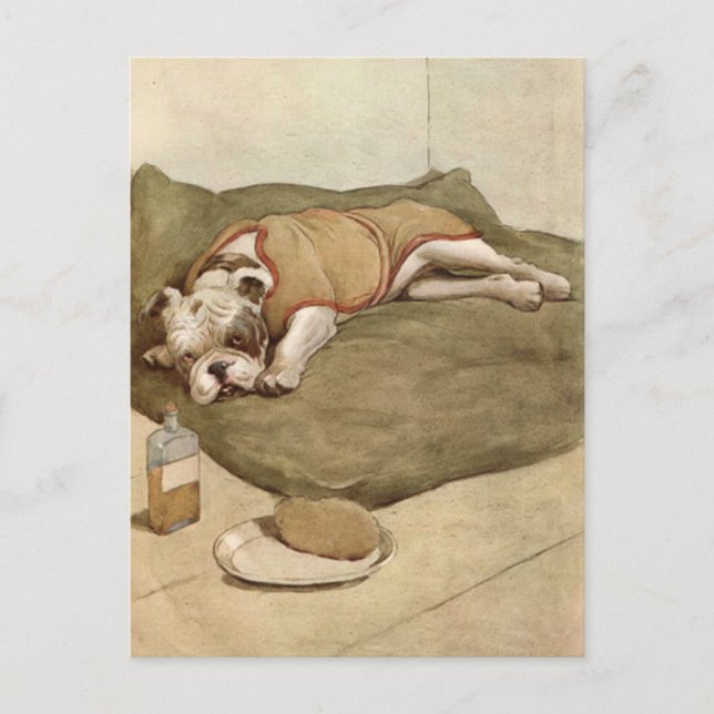 Vintage Bulldog Puppy Illustration Postcard (Front)