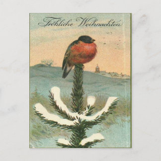 Vintage Bullfinch Bird on Snowy Pine Postcard