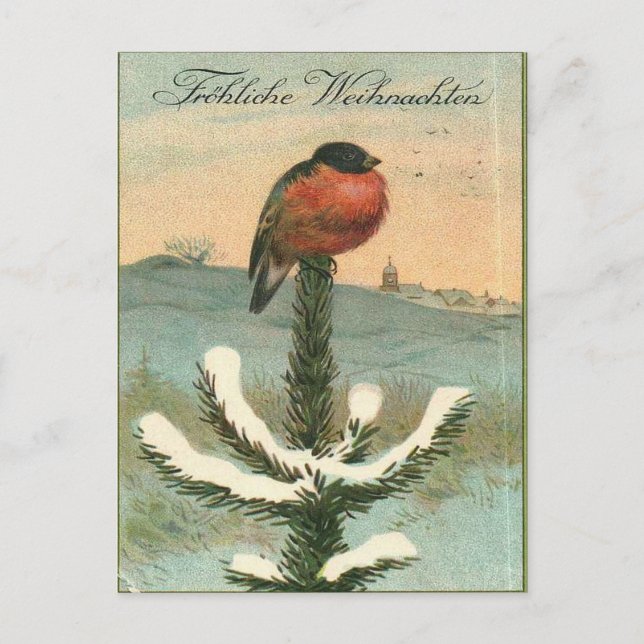 Vintage Bullfinch Bird on Snowy Pine Postcard (Front)
