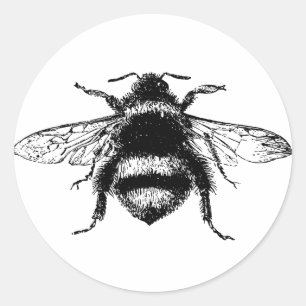 Vintage Bumble bee Classic Round Sticker