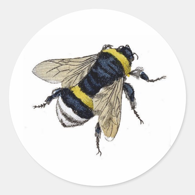 Vintage Bumble Bee Classic Round Sticker (Front)