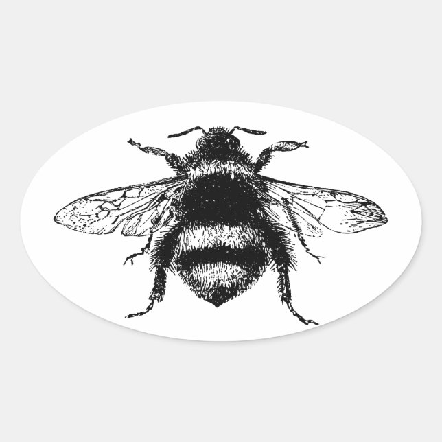 Vintage Bumble bee Oval Sticker (Front)