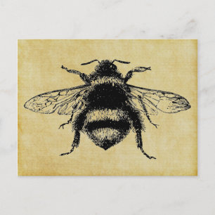 Vintage Bumble bee Postcard
