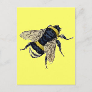 Vintage Bumble Bee Postcard
