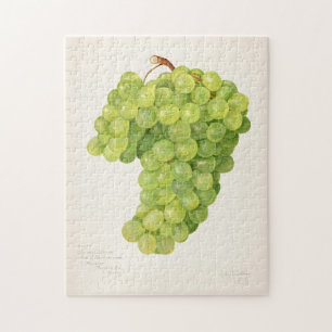 Vintage Bunch of Green Grapes Fruit Painting Jigsaw Puzzle