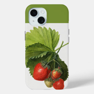 Vintage Bunch of Red Strawberries Illustration iPhone 15 Case