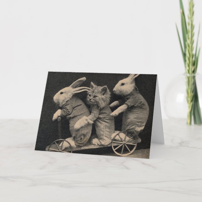 Vintage - Bunnies and Kitten, Card (Front)