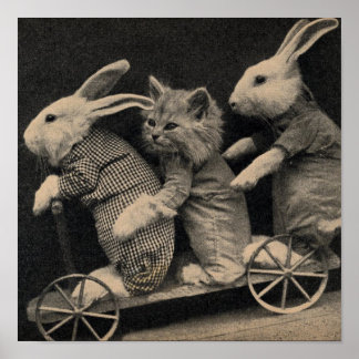 Vintage - Bunnies & Kitten Travelers, Poster