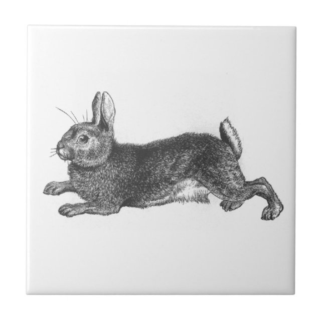 Vintage Bunny Tile (Front)