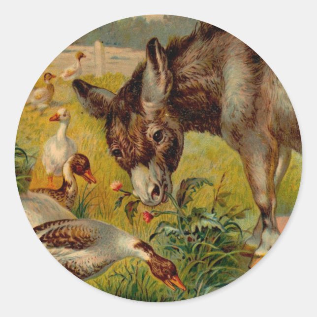 Vintage Burro With Geese Classic Round Sticker (Front)