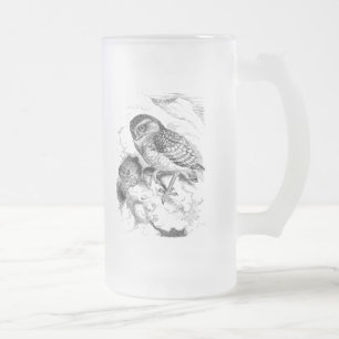 Vintage Burrowing Owl Chick Bird Illustration Frosted Glass Beer Mug
