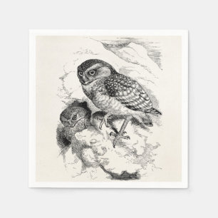 Vintage Burrowing Owl Chick Bird Illustration Napkin