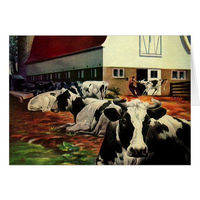 Vintage Business, Holstein Milk Cows on Dairy Farm (Front Horizontal)