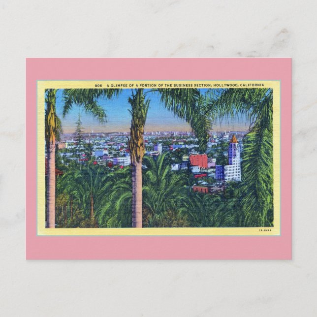 Vintage Business section Hollywood CAL Postcard (Front)