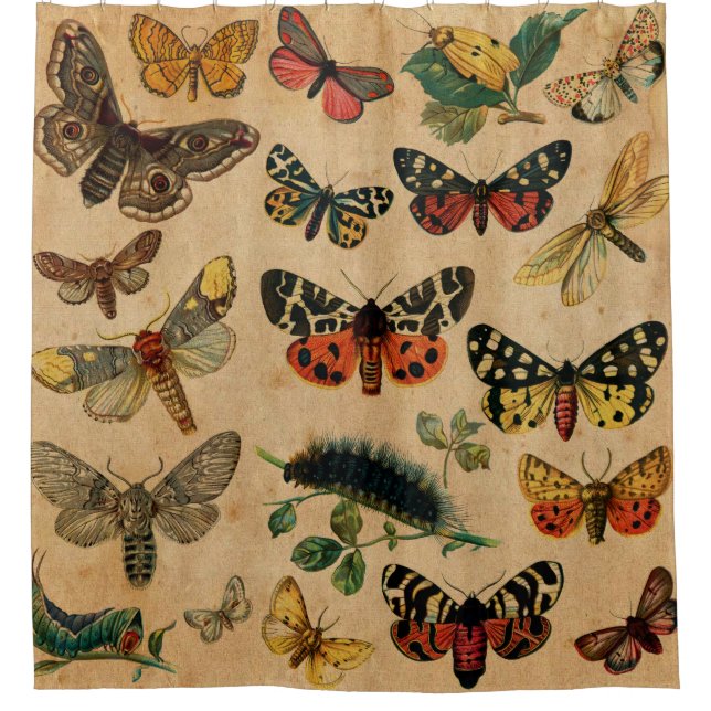 Vintage Butterfies and Moths (8).jpg Shower Curtain (Front)