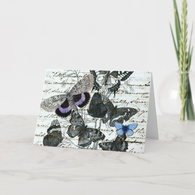 Vintage Butterflies Austen Card (Front)
