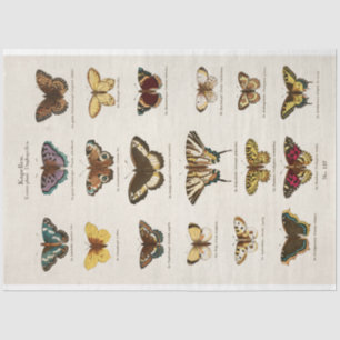 Vintage Butterflies Decoupage Tissue Paper
