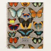 Vintage Butterflies Entomology Colourful Biology