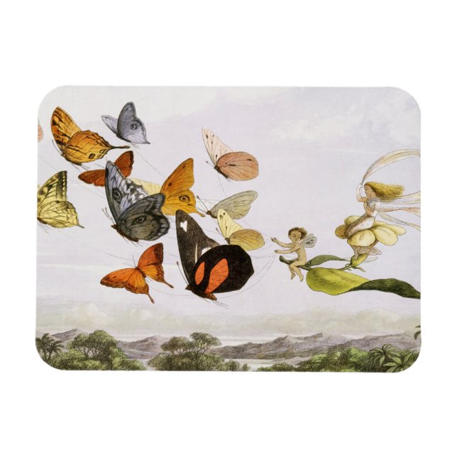 Vintage Butterflies & Fairy Old Illustration Art Magnet (Horizontal)