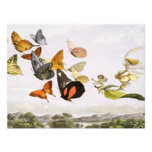 Vintage Butterflies & Fairy Old Illustration Art Photo Print