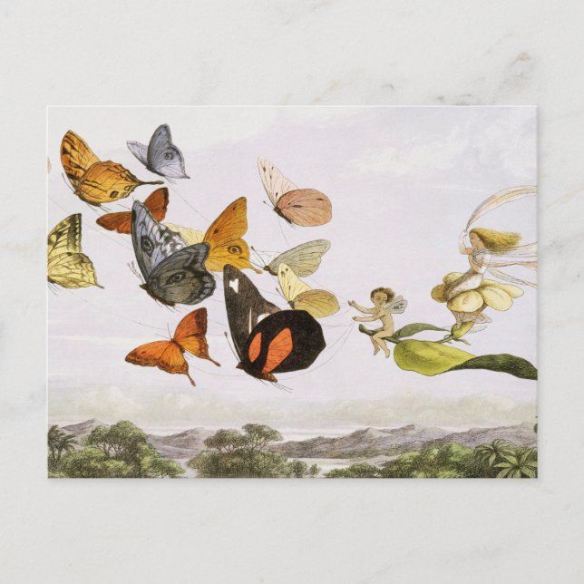 Vintage Butterflies & Fairy Old Illustration Art Postcard (Front)