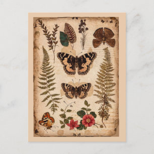 Vintage Butterflies Ferns Nature Journal Postcard