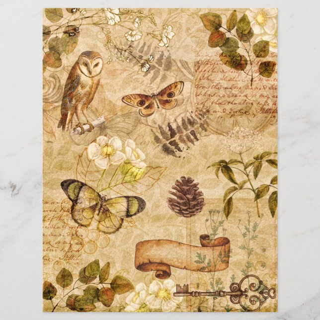 Vintage Butterflies Foliage Floral Scrapbook Paper (Front)