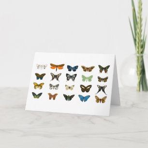 Vintage Butterflies Illustration Art Card