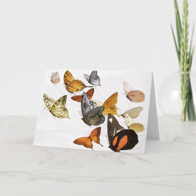 Vintage Butterflies Illustration Art Card (Front)