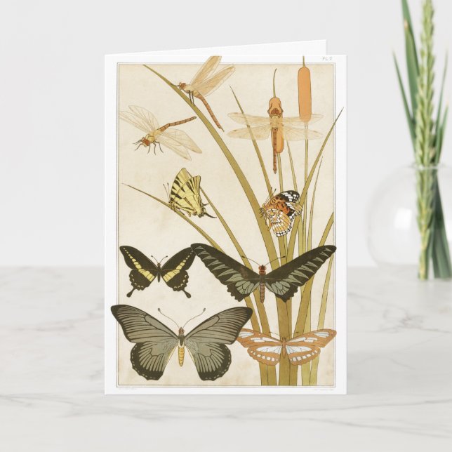 Vintage Butterflies Illustration Art Card (Front)
