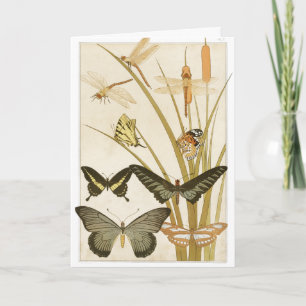 Vintage Butterflies Illustration Art Card
