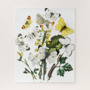 Vintage Butterflies Jigsaw Puzzle