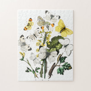 Vintage Butterflies Jigsaw Puzzle
