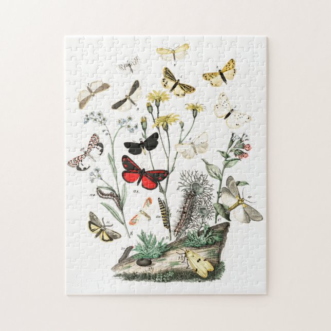 Vintage Butterflies & Moths  Illustration Art Jigsaw Puzzle (Vertical)