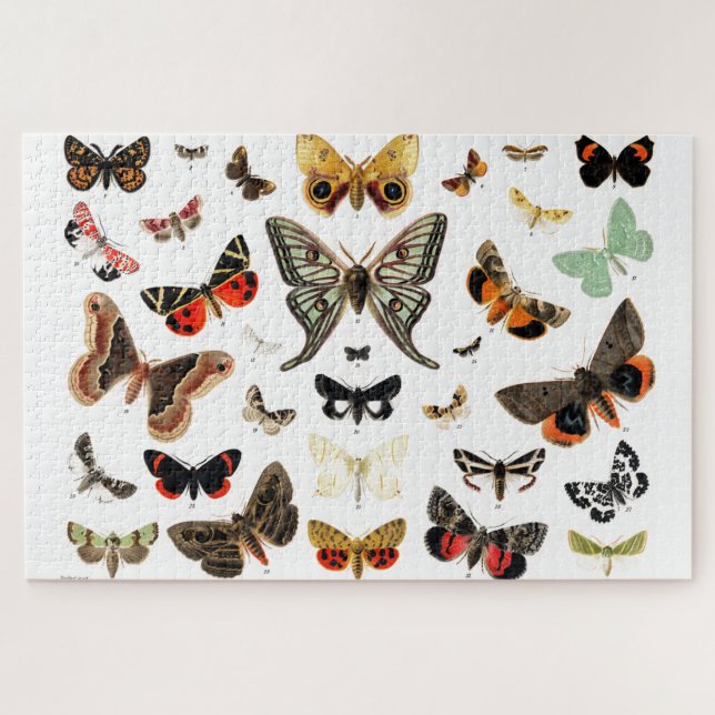 Vintage Butterflies & Moths  Illustration Art Jigsaw Puzzle (Horizontal)