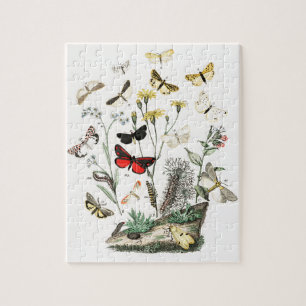 Vintage Butterflies & Moths Illustration Art Jigsaw Puzzle