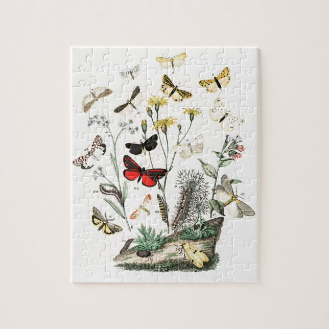 Vintage Butterflies & Moths Illustration Art Jigsaw Puzzle (Vertical)